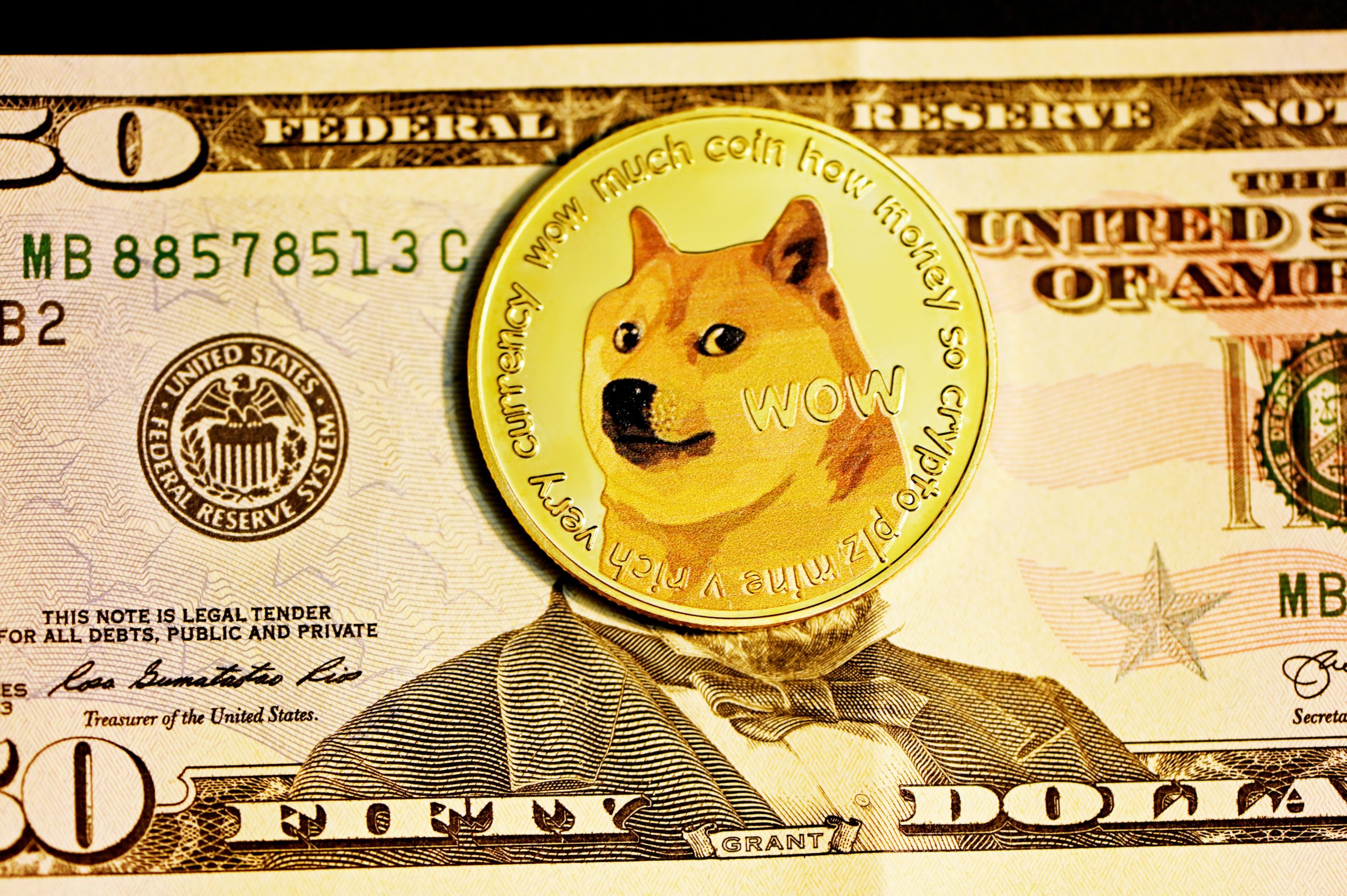 momentinis dogecoin